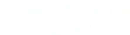 Capital Plumbing logo